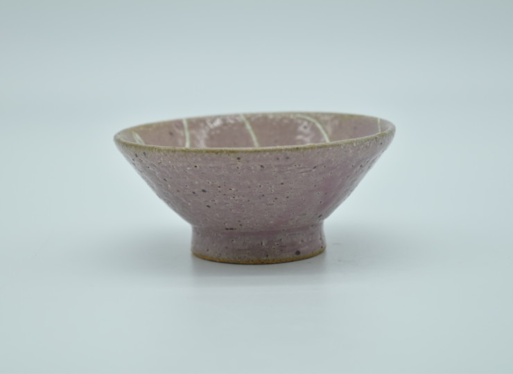 SIN-0022