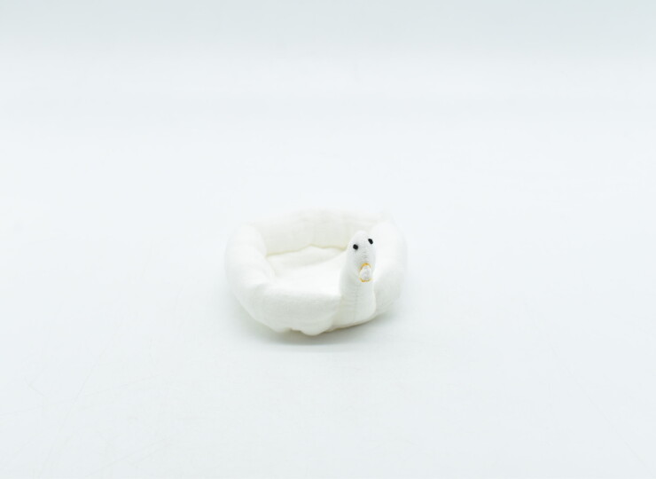 MUR-0014