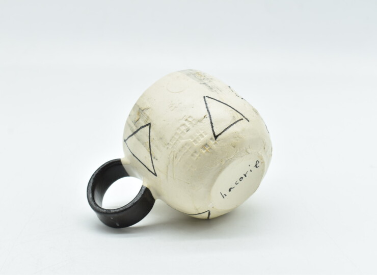 HAC-0205